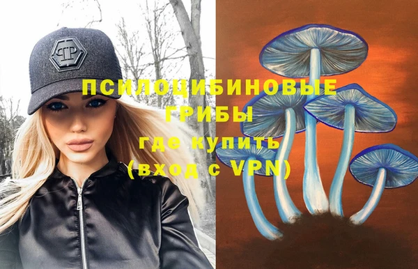 стафф Покачи
